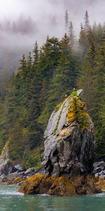 0151 Eagles Perched on a Spire