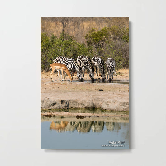 2598 | Brothers Five