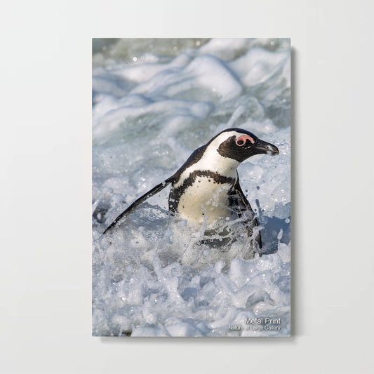 6710 | Penguin Jacuzzi