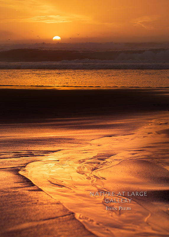 0326 Sunset and Sandy Stream