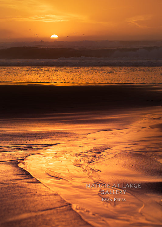 0326 Sunset and Sandy Stream