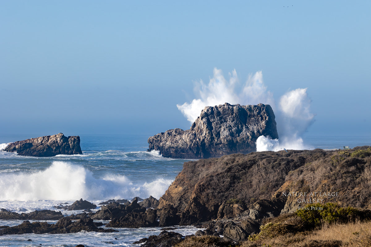 4479 Big Splash in Big Sur