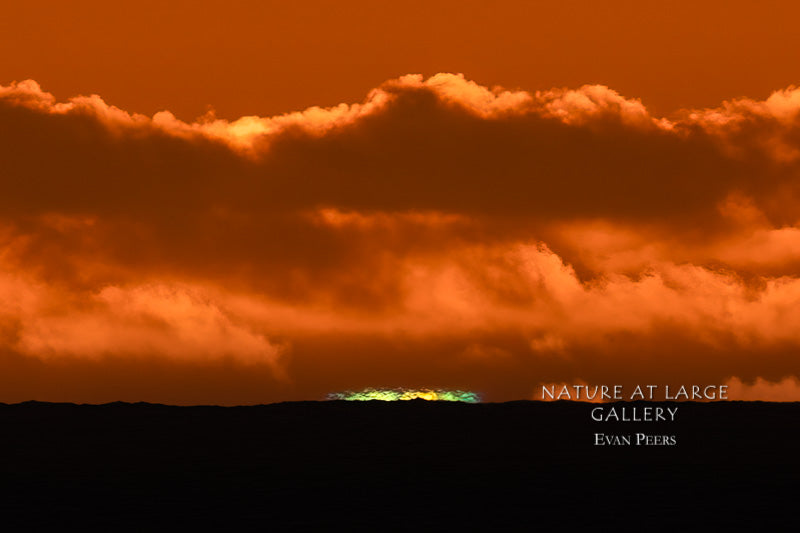 4837L Rainbow Flash, Wide