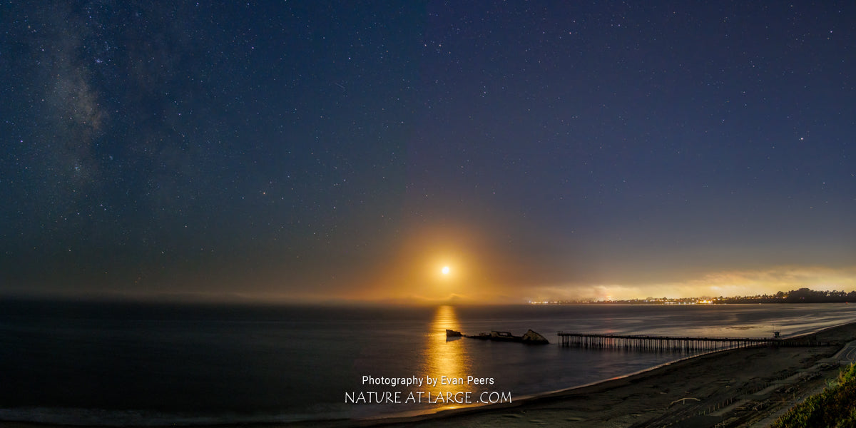 6078 From the Sea to the Stars