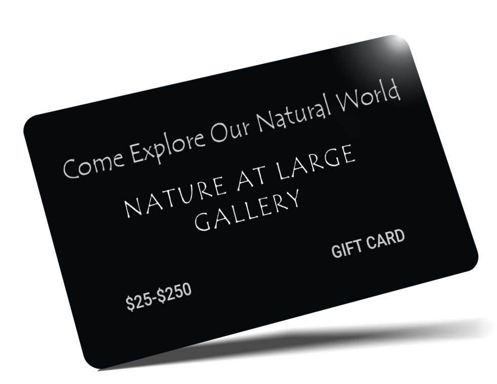 Nature At Large eGift Card