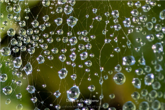 3641 Drops in the Universe